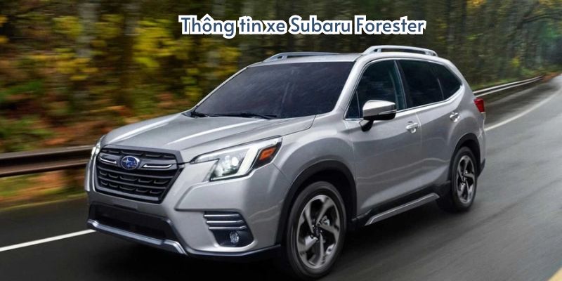 Thông tin xe Subaru Forester