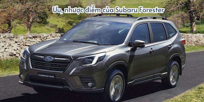 Ưu, nhược điểm của Subaru Forester 