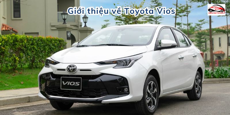 Giới thiệu về Toyota Vios
